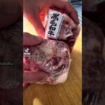 #Japanesefood#recipe#cooking#料理 #レシピ #簡単レシピ#手作り#加藤家の食卓#America #Brazil #USA#redwine#oxtail#beeftail