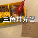 【レシピ】フライパン1つで簡単!お手軽三色丼弁当の作り方【お弁当】obento