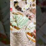 クリスマスパーティーにチーズケーキチョコポップ #簡単レシピ #クリスマス #簡単スイーツ #おやつレシピ #クリスマスレシピ #クリスマススイーツ #recipe #cooking #スイーツレシピ