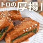 【レシピvlog】困った時の副菜に！トロットロの厚揚げしそチーズ🧀