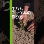 激うまバイラルレシピ生ハムユッケ丼「つくってみた」 #vlog #shorts