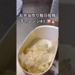 【お弁当作り】27歳社会人の毎日弁当。ズボラでも続けることが大事🗽🗽 #ol #料理 #お弁当 #自炊 #簡単レシピ #vlog #lunchbox #料理動画