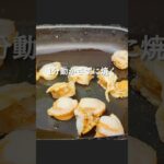 米3合はイケる!ホタテねぎ塩丼の作り方 #shorts #料理 #レシピ