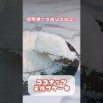 超簡単！ぷるっと！ココナッツミルクケーキ🥥#ミルクケーキ #簡単お菓子レシピ #お菓子レシピ #おうちカフェレシピ #うちカフェ #ウチカフェスイーツ #材料4つで簡単