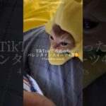 TikTokでバズった「バレンタインスイーツ」4選🥰｜4 Valentine sweets #ショート #shorts #ライフハック #lifehacks #簡単レシピ