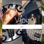 【VLOG】#Ⅹ スイーツ作り／簡単ミルフィーユ／レシピ紹介／ibiyaya／ペットバギー／３６歳／日常／ビューティーコンサルタント