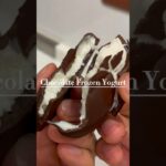 【絶品】超簡単ヨーグルトチョコアイス！ #ダイエット #簡単レシピ #ヘルシースイーツ #料理 #おうちカフェ #recipe #healthyrecipes #healthy #shorts