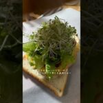 残り物ミートソースとチーズオムレツのサンドイッチ🥪 #簡単レシピ #料理 #お弁当 #レシピ #お弁当動画 #料理動画 #サンドイッチ#sandwich#bento#lunchbox