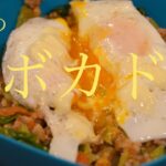 【視聴者提供レシピ】キミのアボガド丼