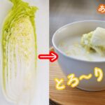 シンプルで優しい味♡白菜のミルクスープの作り方・レシピ　ハムやベーコン、他の野菜を入れなくてもとっても美味しいスープに!　炒めない・油無しでも旨味しっかり