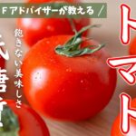 迷ったらコレ！『トマト』がメイン！糖質オフレシピ６品