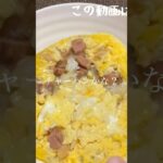 食中毒は怖いから焼き鳥缶詰で親子丼作ってみたら簡単すぎた#簡単レシピ #親子丼 #底辺飯