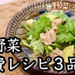 【冬野菜消費レシピ3品】野菜中心の作り置きたち!旬の野菜はコスパも良し◎