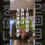 102回目のお弁当#shorts#おじさん#お弁当記録#お弁当日記#お弁当動画 #お弁当作り#明日のお弁当