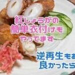 簡単節約ちくわのレシピ／チーズ揚げ／紅しょうがの天ぷら／お弁当のおかず296