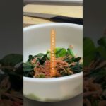 3分！【お弁当の一品】小松菜の小エビ和え🦐　#お弁当 #同棲 #簡単レシピ