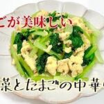 小松菜とたまごの中華炒め/簡単レシピ308