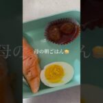 今日のお弁当🍱　ごはん　鮭　ミートボール　スパゲッティ　ゆでたまご　#料理 #簡単レシピ #簡単ごはん #40代主婦 #お弁当