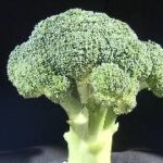 【約50年ぶりに追加】おいしい部分は？｜野菜ソムリエの簡単レシピも