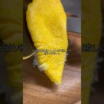 戻ってきた!! #料理 #お弁当 #簡単レシピ #弁当男子 #料理動画 #毎日弁当 #cooking #お弁当箱 #料理vlog #オムライス