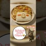 今日は何して遊ぶ？ 毎日のお弁当記録 #shorts #お弁当 #cat