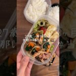 お弁当詰めるの大好き〜🍱 #shorts#asmr#お弁当詰め方#料理動画#レシピ