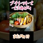 #旦那さん弁当 #毎日弁当 #曲げわっぱ #料理動画 #お弁当 #焼き鳥