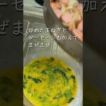 料理初心者が作るオムレツ #おうちごはん #料理 #レシピ