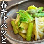 【春野菜で簡単副菜】サラダ感覚!春キャベツとアスパラの胡麻酢和え♪【和食の基本】