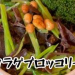 キクラゲブロッコリー丼　動画レシピ