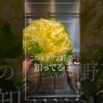 これ、なーんだ? #イタリアン #イタリアンレシピ #イタリア野菜 #イタリア好きと繋がりたい #スカローラ