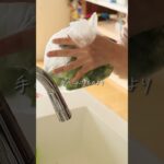 1日分の○○！塩麹ブロ #shors