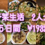 【野菜生活】アラ還夫婦2人分✖️5日間 #簡単レシピ #アラ還 #ずぼら飯 #なんちゃって料理 #時短レシピ #節約レシピ #自給自足 #家庭菜園 #ダイエット中の食事