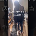 【25歳毎日弁当】冷蔵庫にアルモンデ　弁当🍱 #同棲ご飯  #お弁当 #毎日ご飯 #簡単レシピ#作り置き