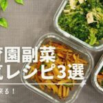 【保育園レシピ】保育園で人気の副菜レシピ3選！