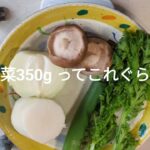 魚のあら汁 ダイエット野菜レシピ 350g野菜ご飯 #魚のあら汁#玉ねぎ#なめたけ#僕やば#秋田犬のキーホルダー