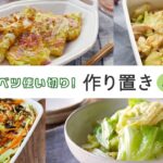 【生配信】「春キャベツひと玉使い切り！作り置きレシピ4品」をご紹介！