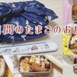 簡単お弁当のおかず／5日間のたまご料理／節約レシピ簡単お弁当のおかず／5日間のたまご料理／節約レシピ267