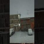 ガチヤバです。 #簡単レシピ #スイーツ #fruit #料理 #art