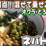 一度食べたら止まらない！栄養満点ネバトロ丼/家庭料理/かんたんレシピ/時短/節約/料理風景/毎日一品/japanese home cooking vlog