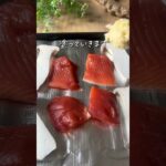 お弁当に✨鮭のパン粉焼き #鮭レシピ #簡単レシピ #簡単美味しい #ズボラレシピ #ズボラ弁当 #ズボラ飯 #ヘルシーレシピ #japanesefood #shorts