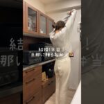 詰めます。　#shorts#asmr#お弁当詰め方#お弁当#レシピ#料理動画