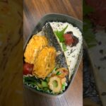 【お弁当】ニトリのセパレートパンが記念祭価格だったので #お弁当記録 #旦那弁当 #お弁当作り