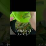 【蒸し野菜とチヂミ】 #料理 # #簡単レシピ #ダイエット