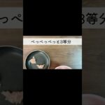 だしだけ簡単鶏ひき肉としそバーグ／お弁当のおかず／節約レシピ