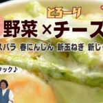 【簡単！美味しい　春野菜とチーズレシピ】おいしい春を感じる４品