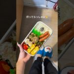 大学卒業できました！！！#ズボラレシピ #ズボラ弁当 #自炊日記 #自炊記録 #自炊 #おうちごはん #お弁当 #お弁当おかず #おかずレシピ