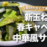【春野菜レシピ】野菜不足解消にもぴったり！甘くて柔らかいからいくらでも進む！春キャベツと新玉ねぎの中華風サラダ【今日のあと一品】【副菜レシピ】