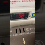 鮪の切り落としを麺つゆに漬けて食べてみた #猫と料理