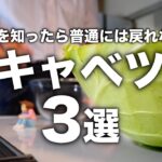 焼くより旨い⁉︎レンジでパパッと【キャベツ副菜レシピ３選】